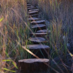 Pathway