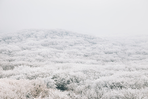 Jeju island winter mountain