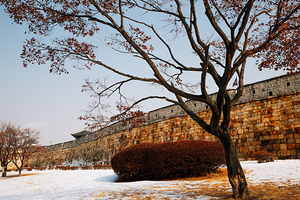 Hwaseong Fortress winter