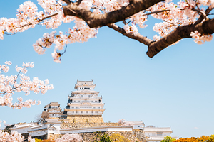 Himeji Castle spring
