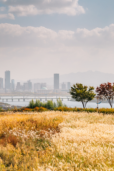 Seoul autumn scenery Print