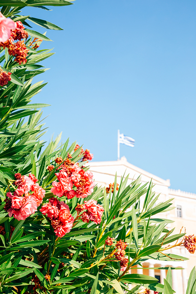 Greek Parliament Print