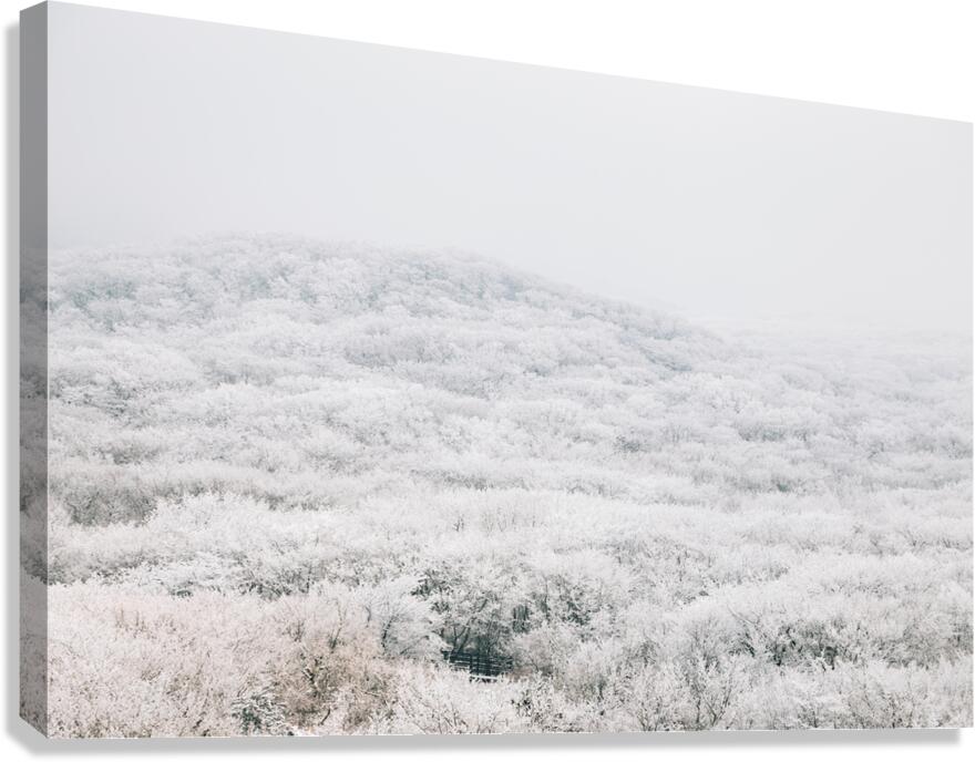 Jeju island winter mountain Canvas Print