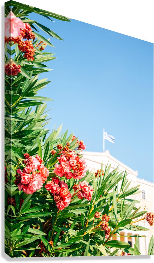 Greek Parliament Canvas Print