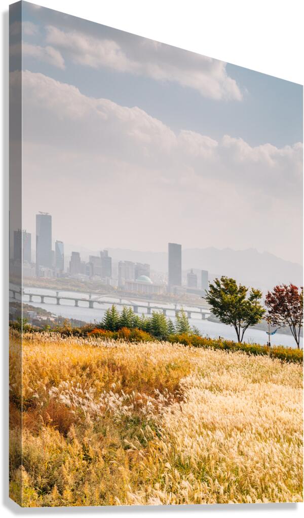 Seoul autumn scenery Canvas Print