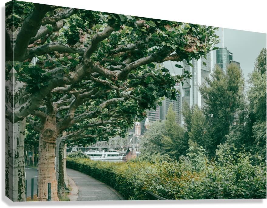 green forest city Canvas Print