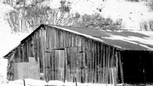 old barn black and white