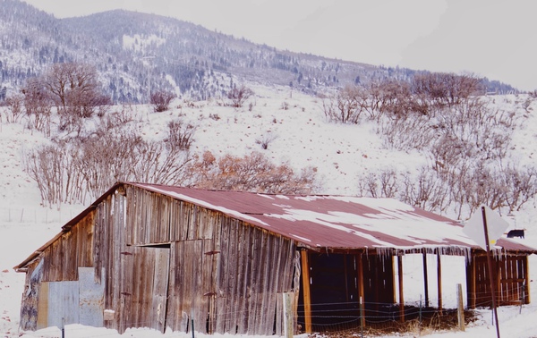 old barn Print