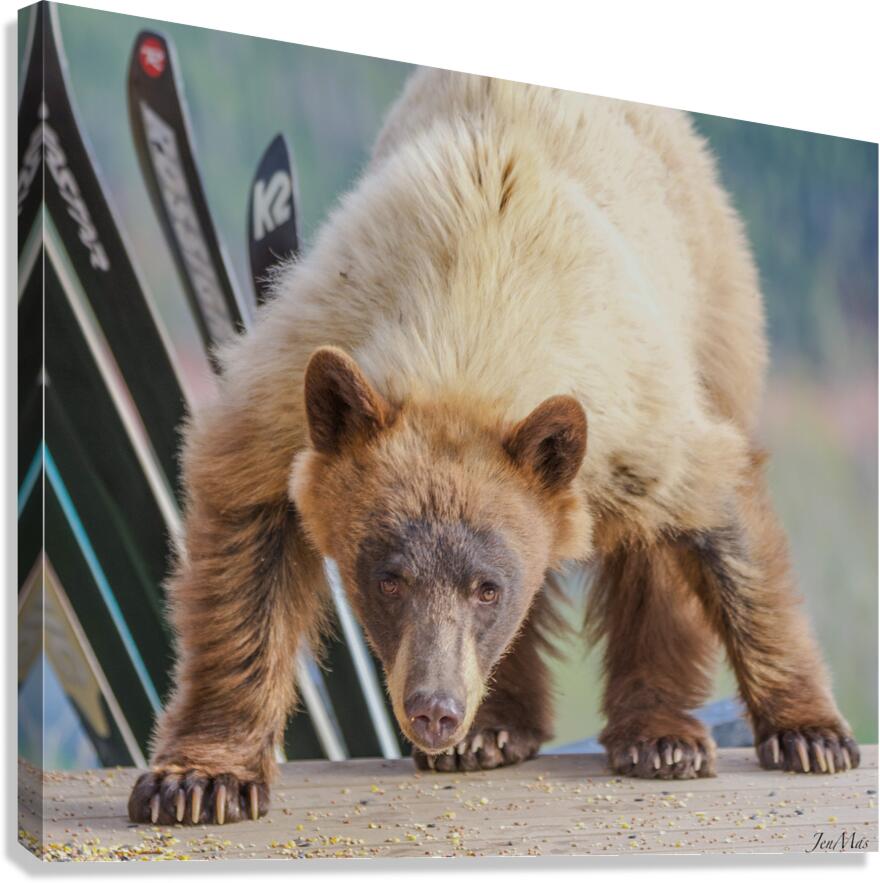 6 Canvas Print