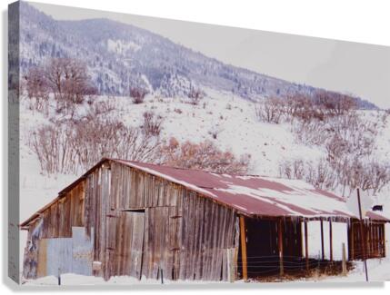 old barn Canvas Print