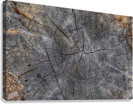 Simple and uncomplicated Canvas Print