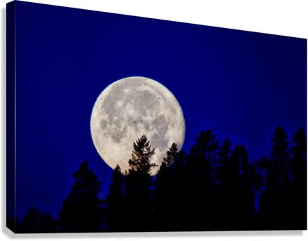 Full moon 2 Canvas Print