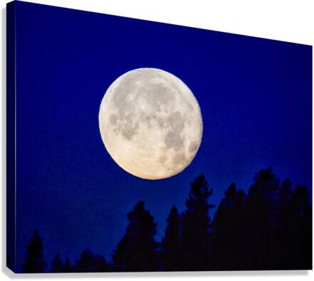 Full moon 1  Canvas Print