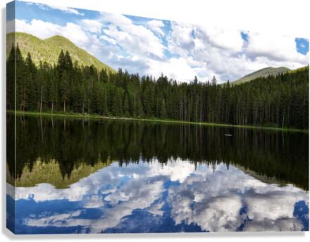 Reflection  Canvas Print