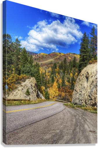 Fall drive  Canvas Print