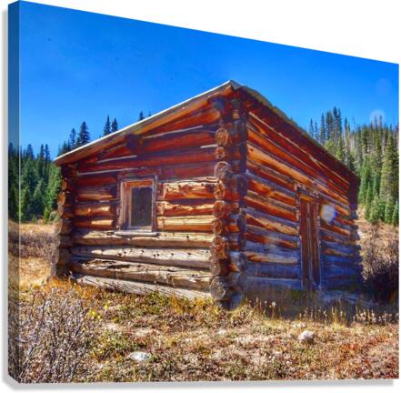 Old Cabin Canvas Print