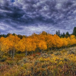 Dramatic fall colors