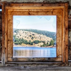 A room with a view