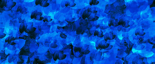 Blue universe5 by Ana Goncalves