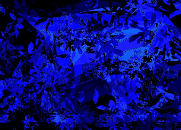 Floral Paradise2 by Ana Goncalves