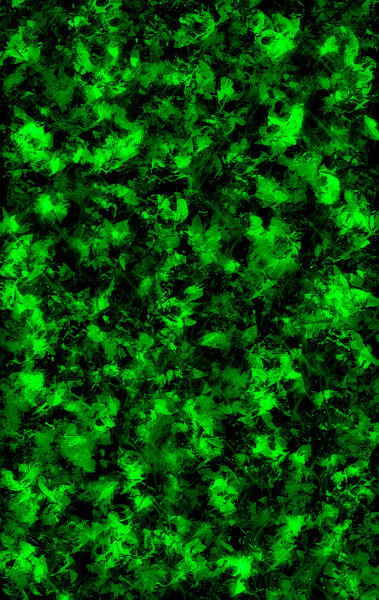 Floral Paradise4 by Ana Goncalves