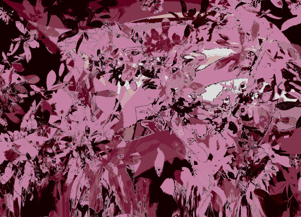 Floral Paradise8 by Ana Goncalves