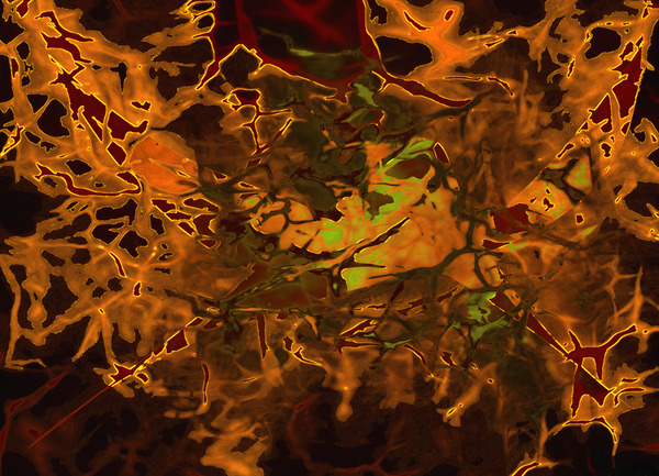 Abstract3 by Ana Goncalves