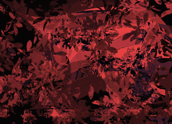 Floral paradise  by Ana Goncalves