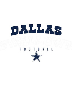 Dallas Cowboys 44