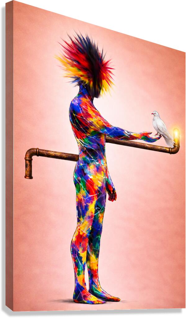 equilibrio Canvas Print