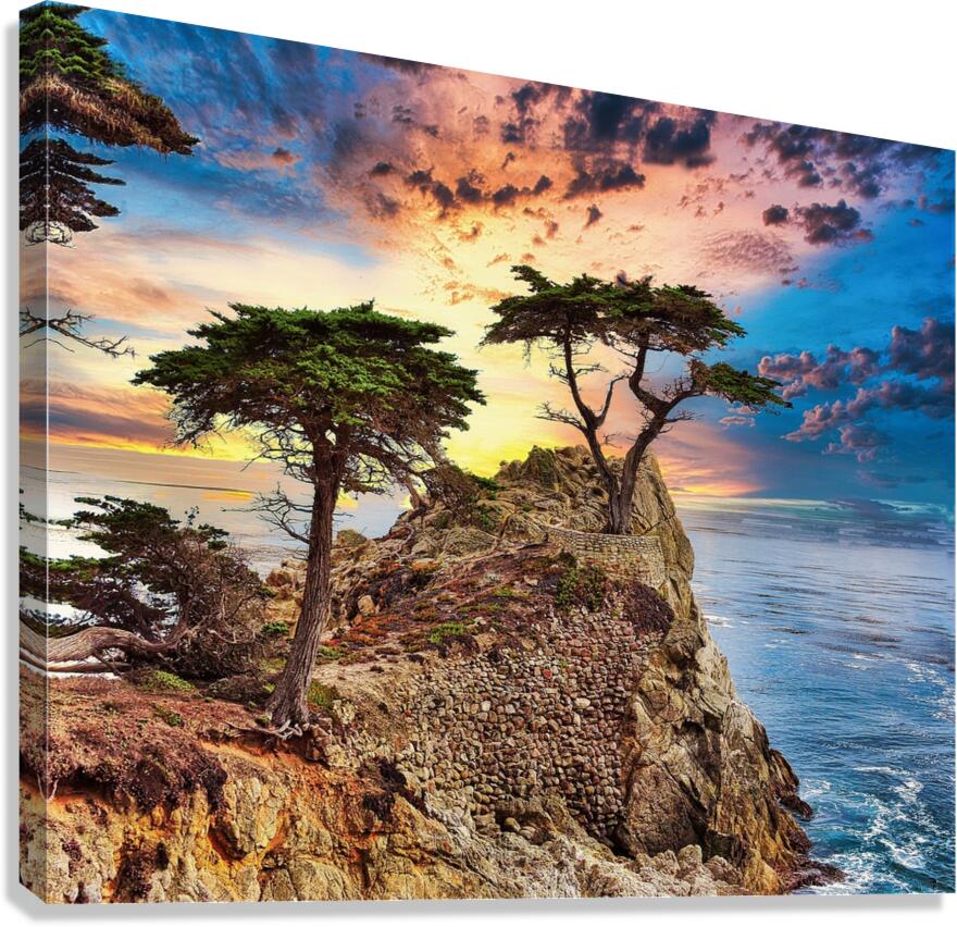 Cypress Tree Canvas Print