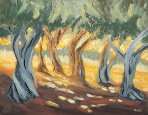 Olive Grove