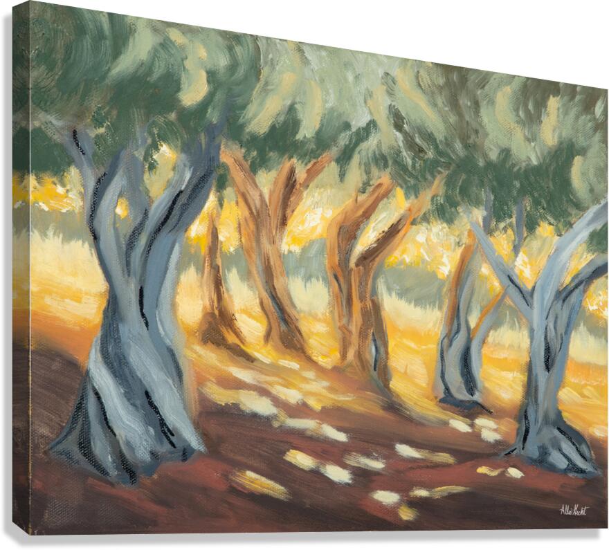 Olive Grove Canvas Print