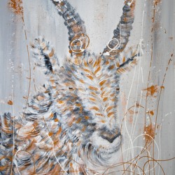 Mountain Goat