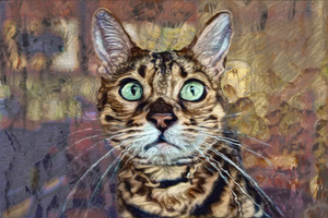 Bengal