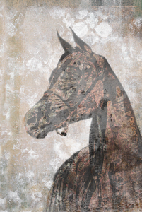 Fancy Horse 2