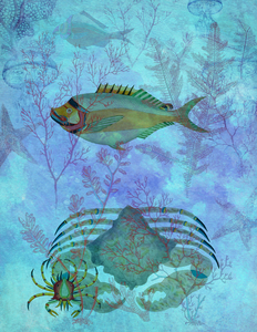 Whimsical Waters