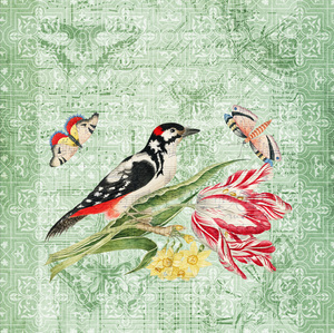 Birds and Butterflies