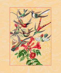 Hummingbird Frenzy