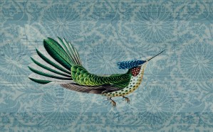 Hummingbird