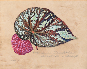 Custom Botanical Print 
