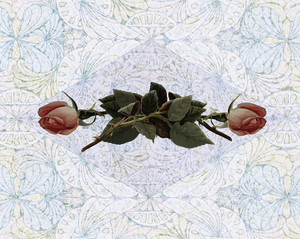 Second Chance at Love