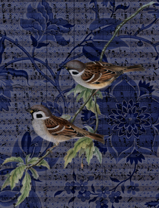 Sparrow 3