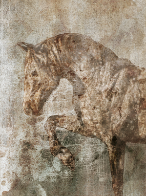 Tattoo Horse Distress