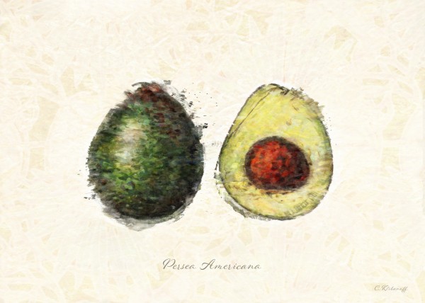 Avocado Print