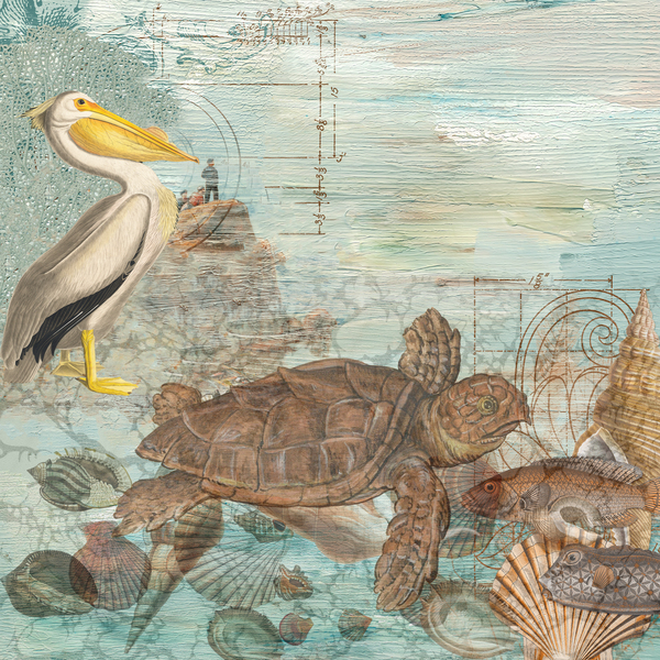 Pelican meet Turtle Print