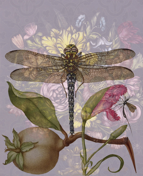 Bouquet and Dragonly Print