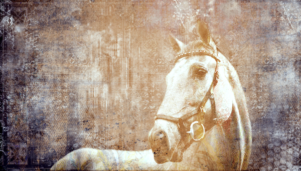 Etched Window Horse 2 Print