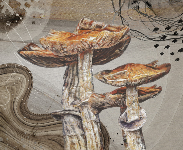Magic Mushroom Print