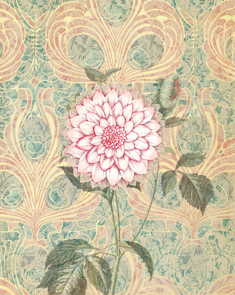 Pink Dahlia Print